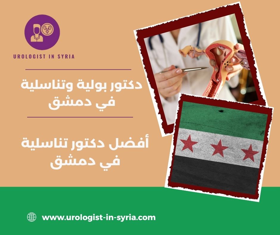 أفضل دكتور تناسلية في دمشق