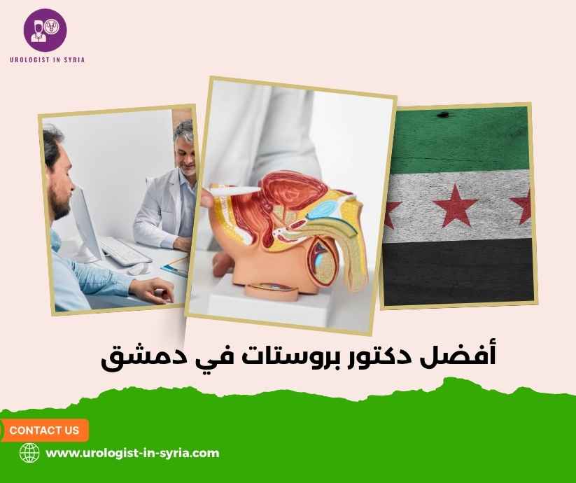 أفضل دكتور بروستات في دمشق أفضل دكتور بروستات في دمشق